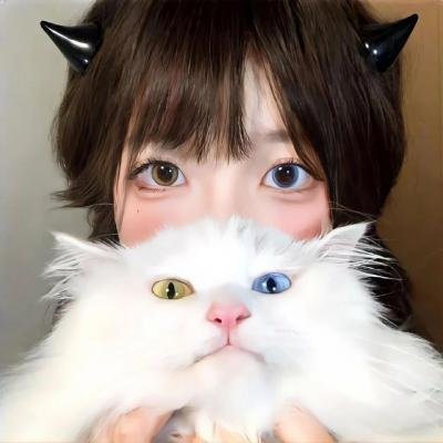 狮子军龙虎鬪